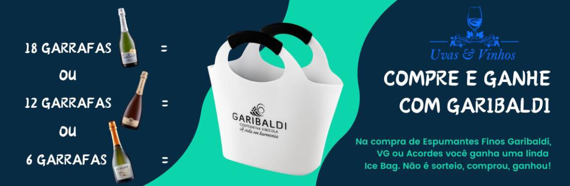 Ice Bag Garibaldi