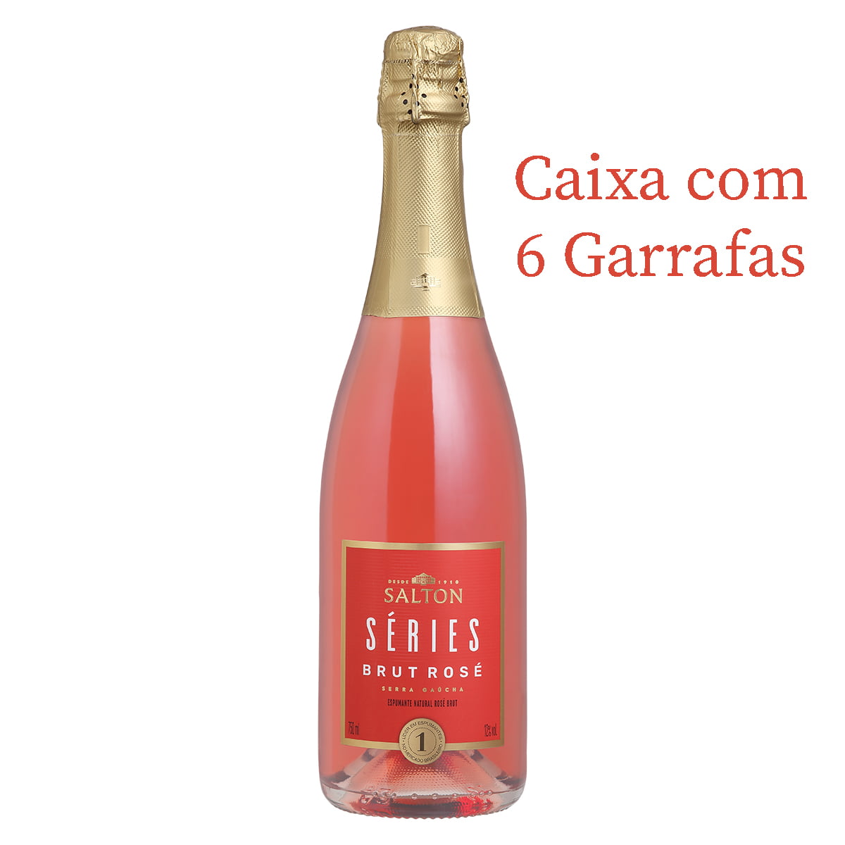 Espumante Salton Séries Brut Rosé 750ml C/6