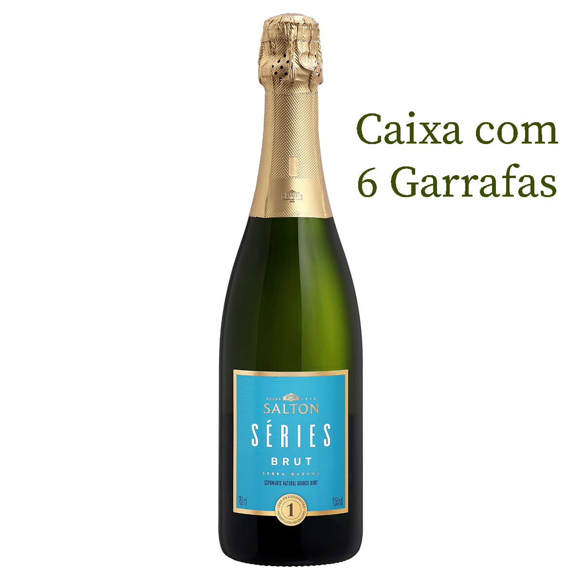 Espumante Salton Séries Brut Branco 750ml C/6