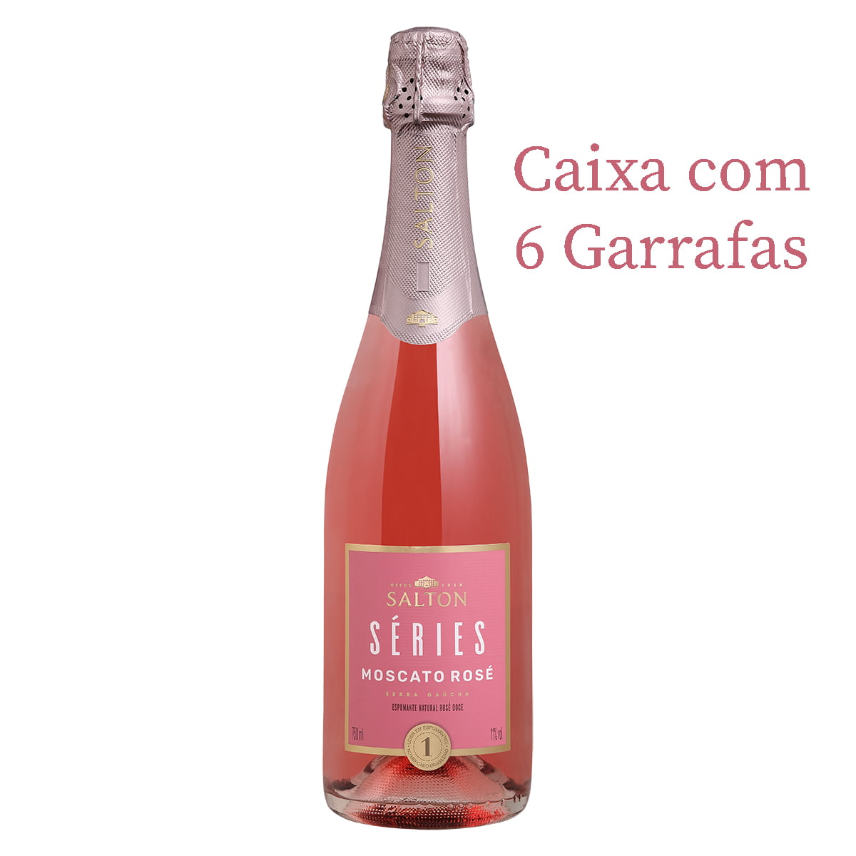 Espumante Salton Séries Moscato Rosé 750ml C/6