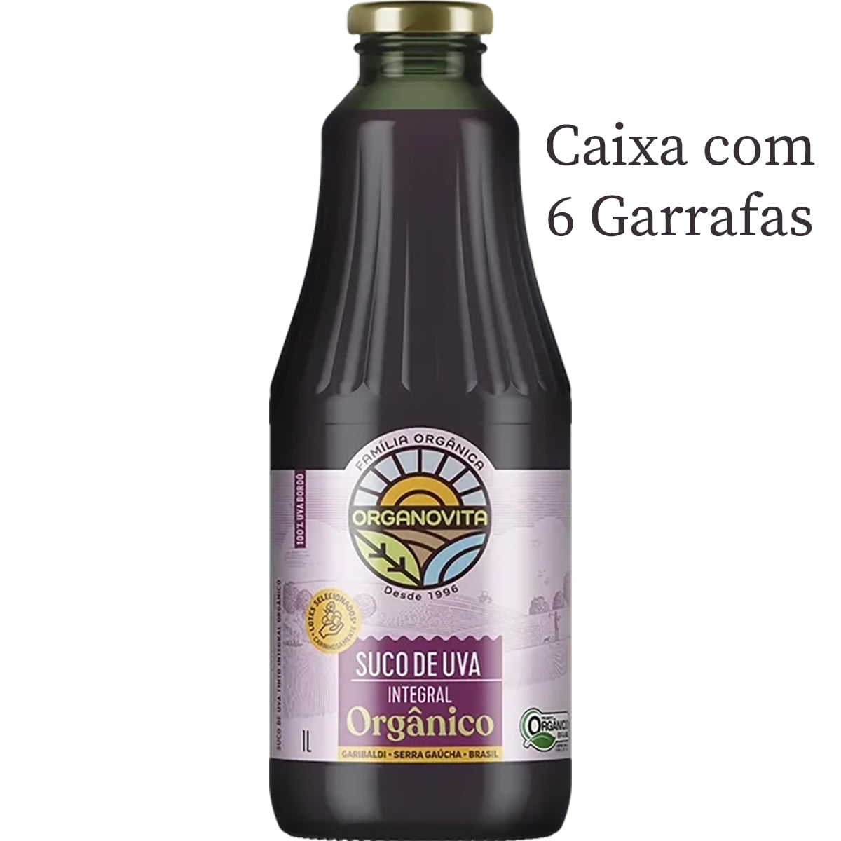 Suco De Uva Organovita Orgânico Tinto Integral 1Lt  C/6