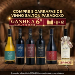 Vinhos Salton Paradoxo 750ml - Compre 5 Leve 6