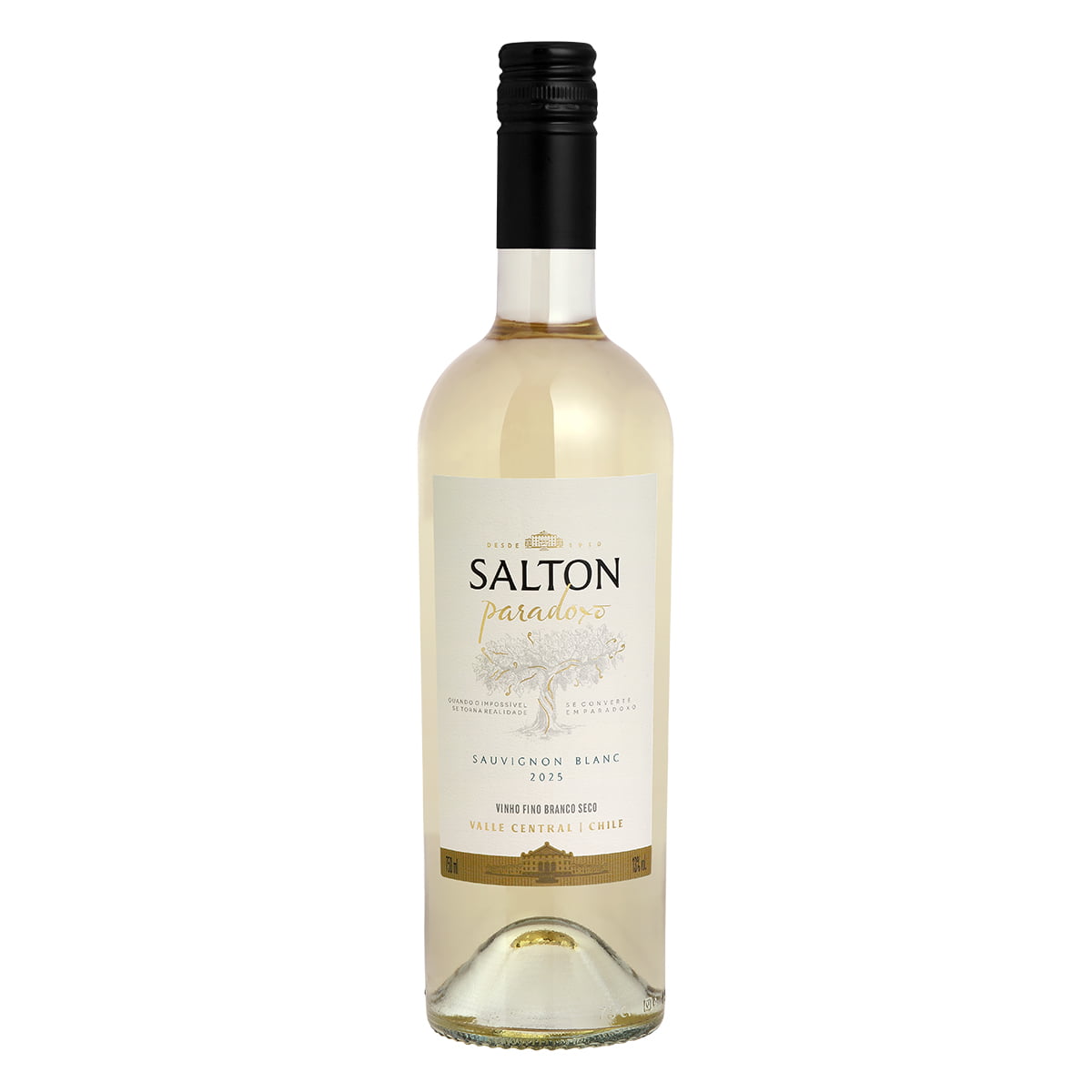 Vinho Salton Paradoxo Sauvignon Blanc Branco Seco 750ml