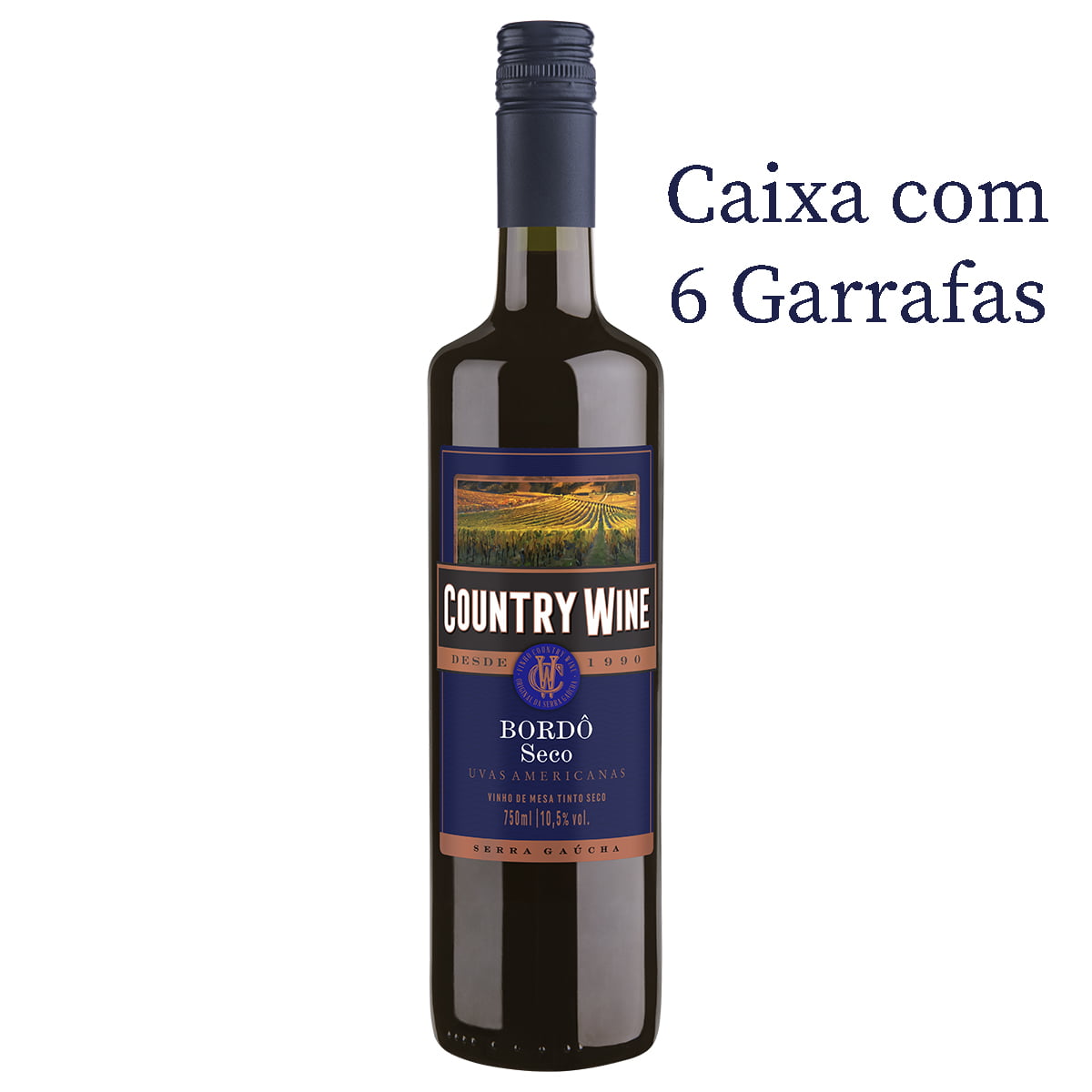 Vinho Aurora Country Wine Tinto Bordô Seco 750ml C/6