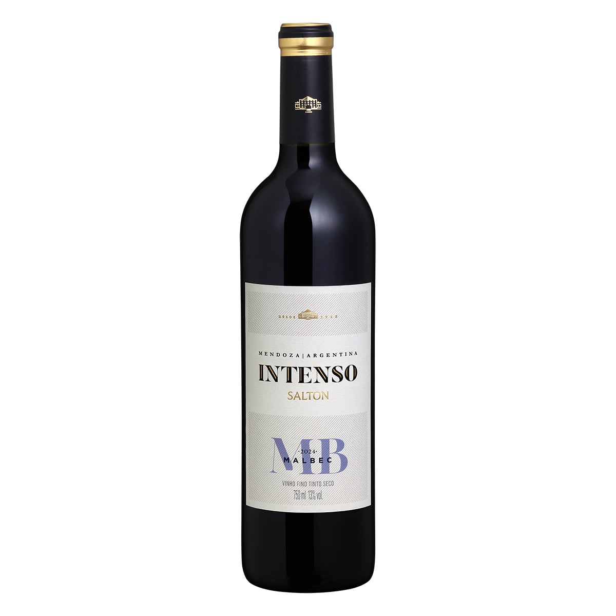 Vinho Salton Intenso Malbec Tinto Seco 750ml