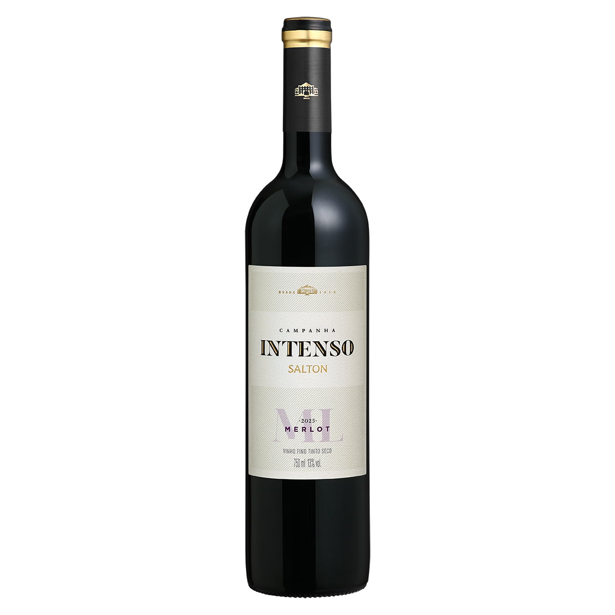 Vinho Salton Intenso Merlot Tinto Seco 750ml
