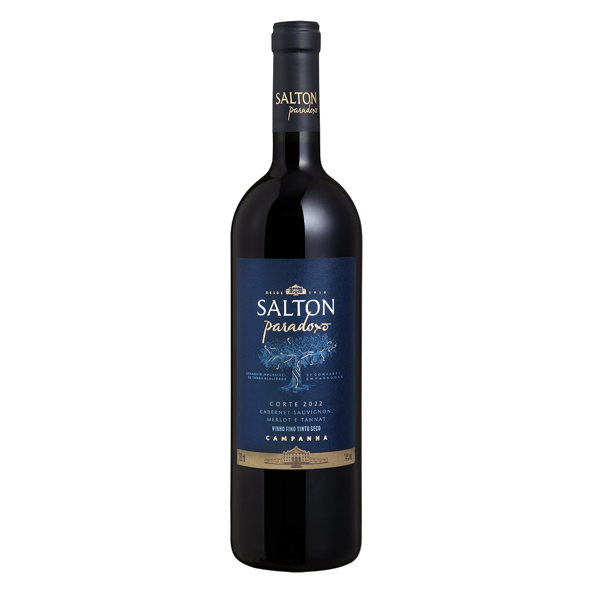 Vinho Salton Paradoxo Corte I Tinto Seco 750ml