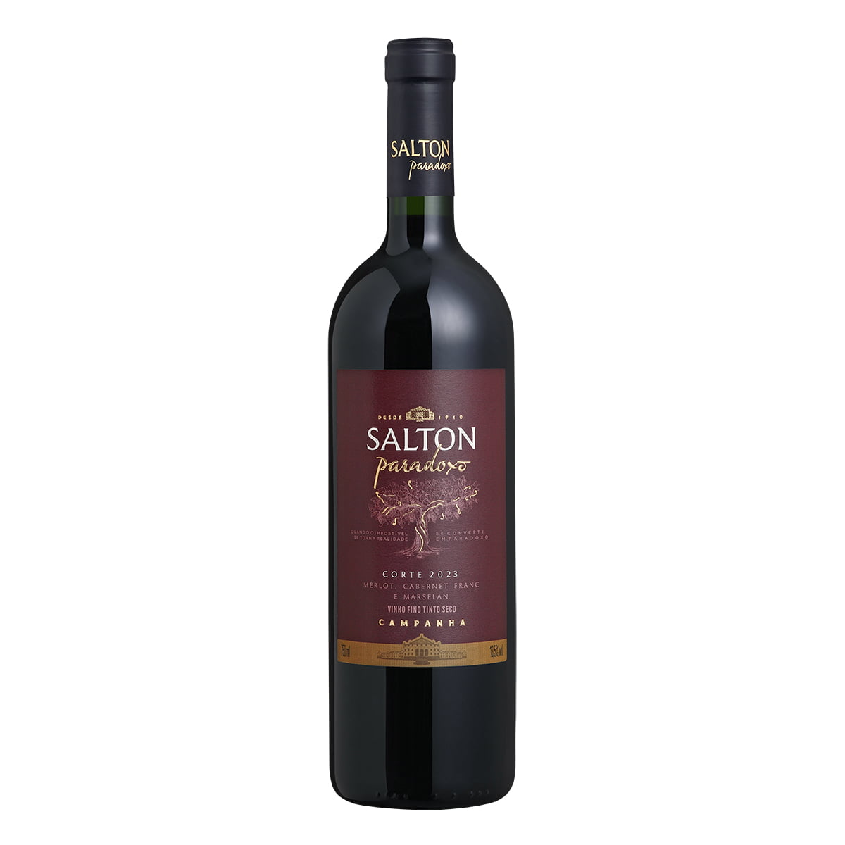 Vinho Salton Paradoxo Corte II Tinto Seco 750ml