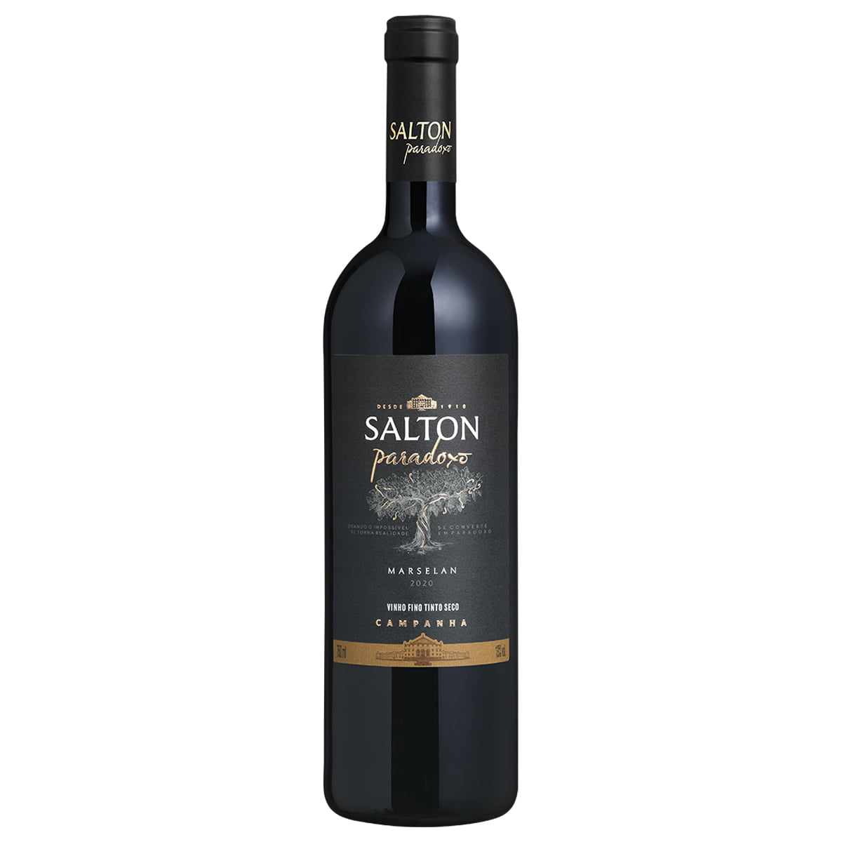 Vinho Salton Paradoxo Marselan Tinto Seco 750ml