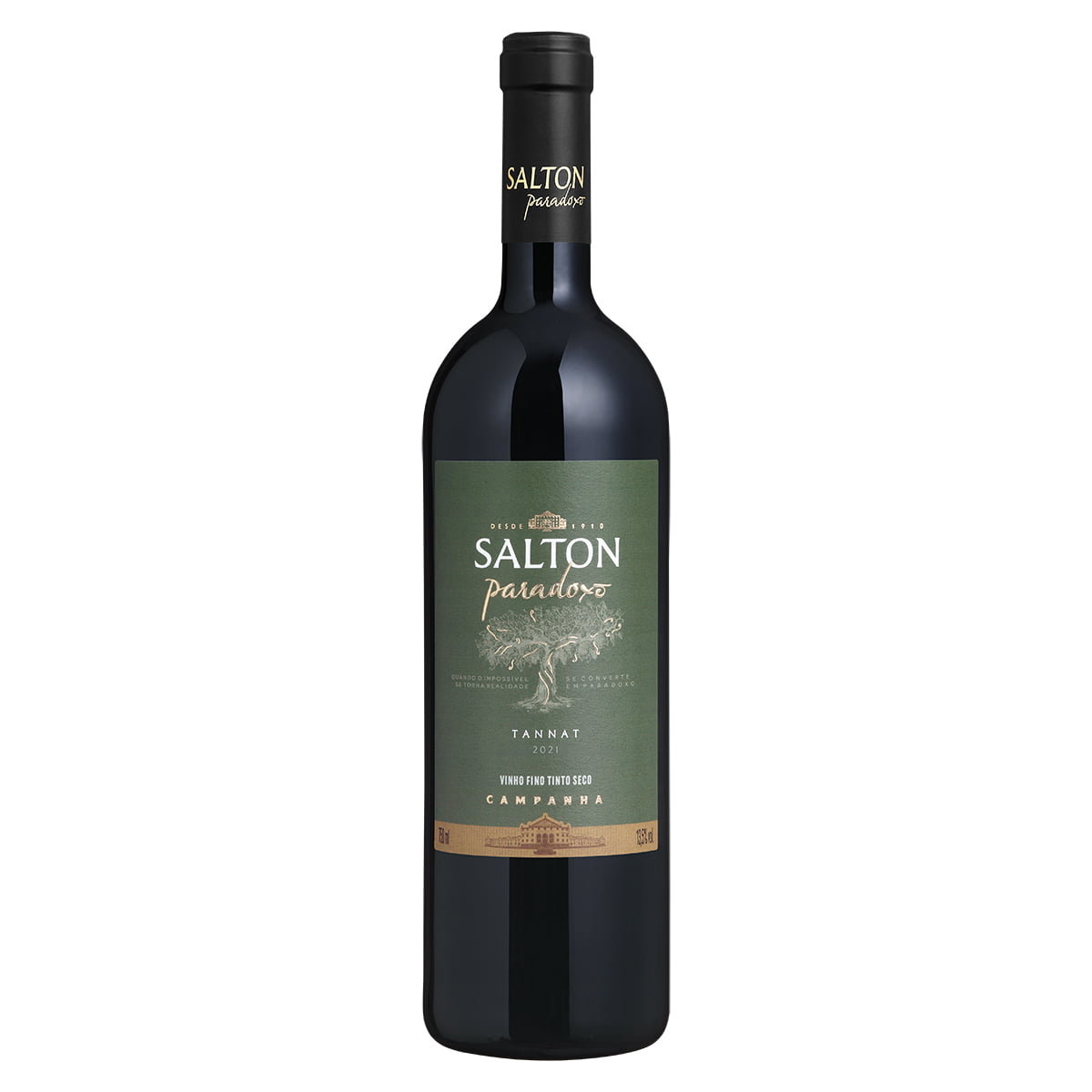 Vinho Salton Paradoxo Tannat Tinto Seco 750ml